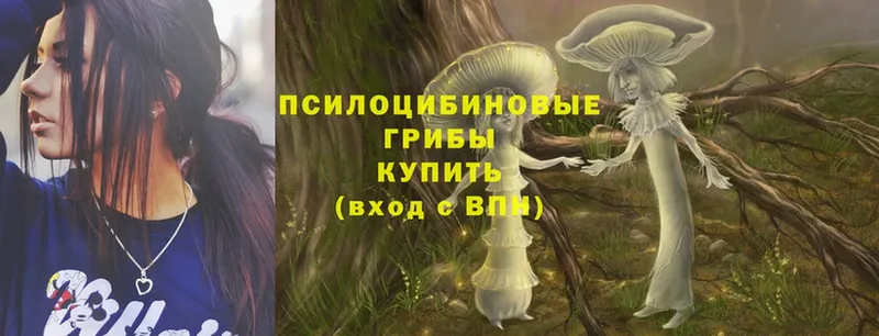 Галлюциногенные грибы Magic Shrooms  Катайск 